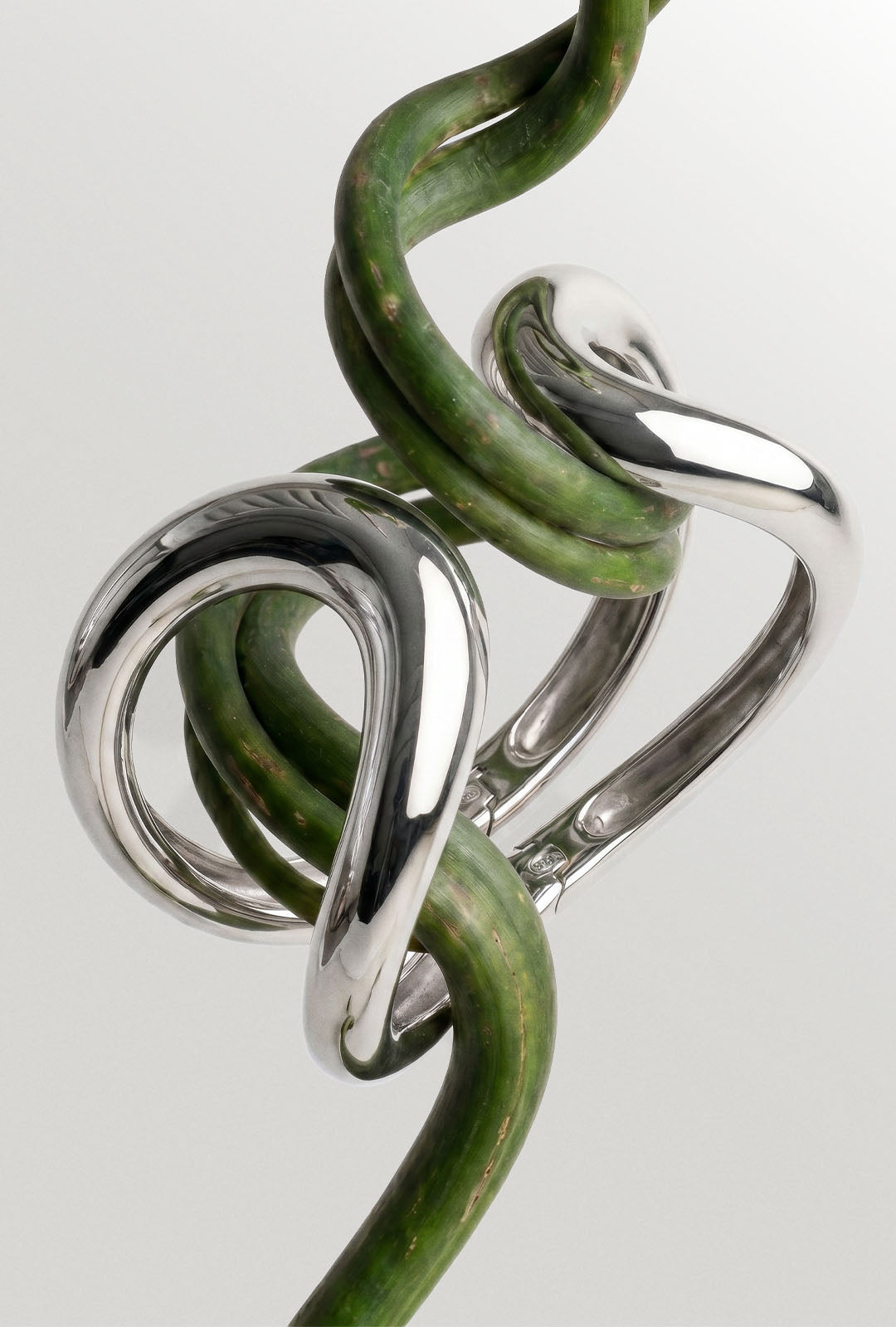 cat_bracciali_forest_700x800_122633c6-ab23-4227-8317-8be0c103328a jpg