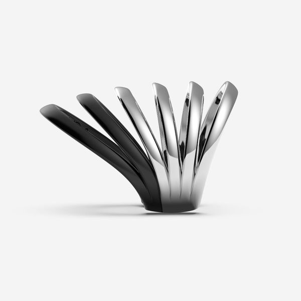 Bi-color six-band ring