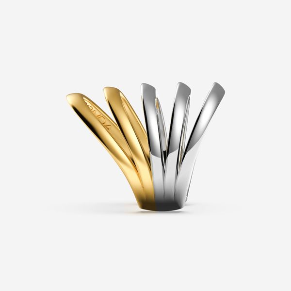 Bi-color five-band ring