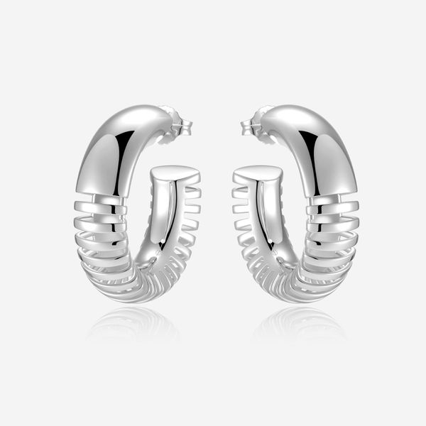 Hoop Earrings